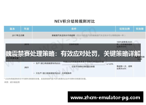 魏震禁赛处理策略：有效应对处罚，关键策略详解