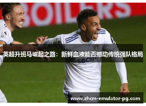 英超升班马崛起之路:新鲜血液能否撼动传统强队格局 英超升班马崛起之路:新鲜血液能否撼动传统强队格局