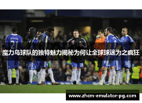 魔力鸟球队的独特魅力揭秘为何让全球球迷为之疯狂 魔力鸟球队的独特魅力揭秘为何让全球球迷为之疯狂