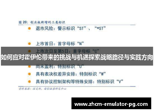 如何应对霍伊伦带来的挑战与机遇探索战略路径与实践方向