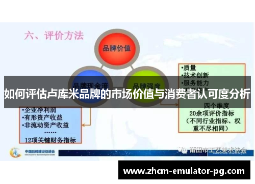 如何评估卢库米品牌的市场价值与消费者认可度分析